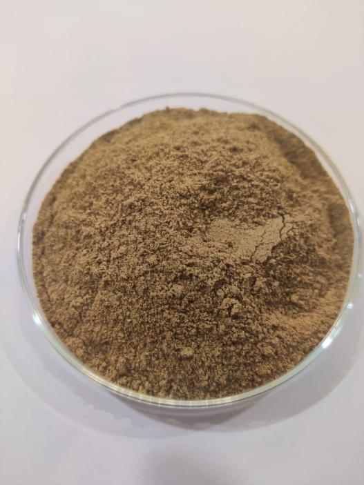 Steam Dried Fish Meal Powder