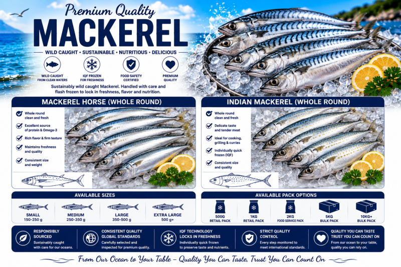 Mackerel