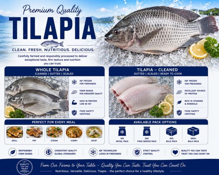 Tilapia